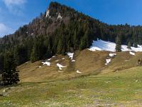 Kitzstein mit Krokuswiese davor